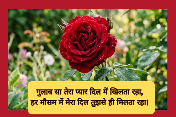 Love Gulab Shayari in Hindi
