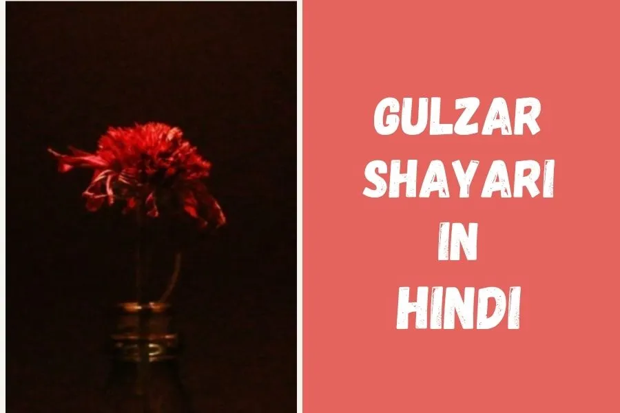 Gulzar Shayari in Hindi